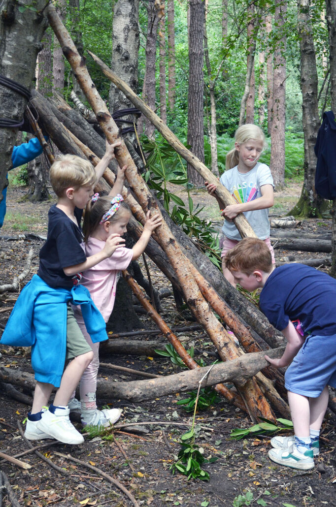 Team work and shelter building for the sibling group