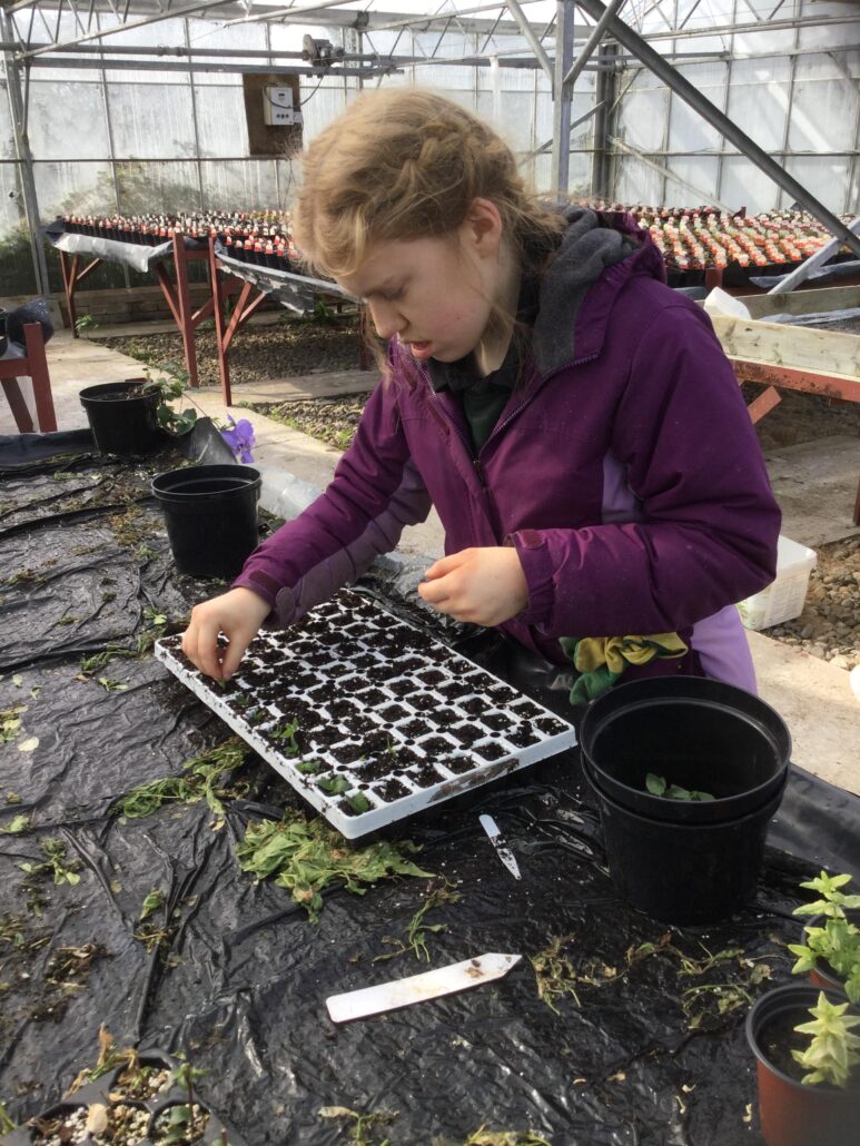 Katherine helping out and planting seeds