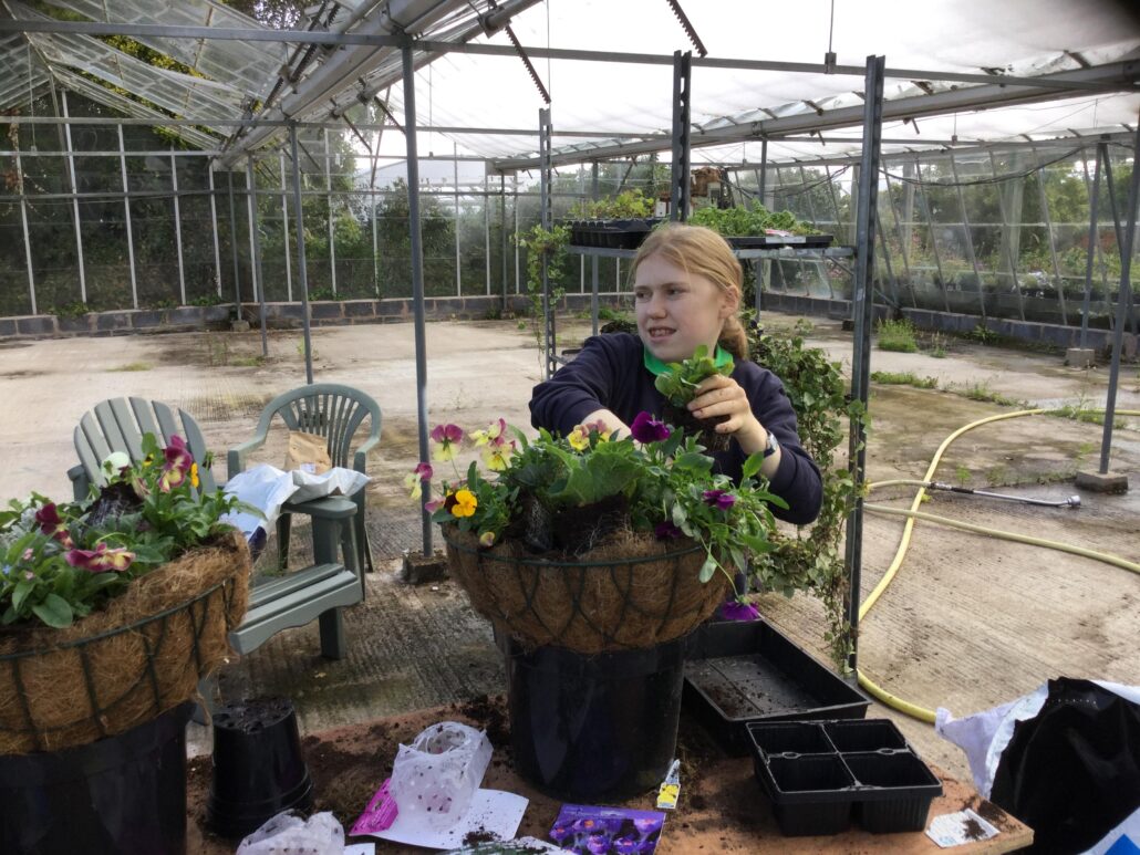 Katherine planting hanging baskets