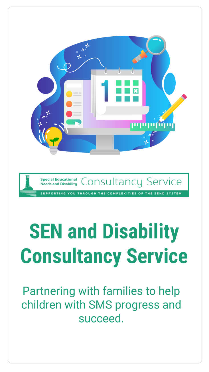SEND consultancy graphic