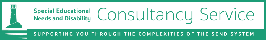 SEND Consultancy Logo
