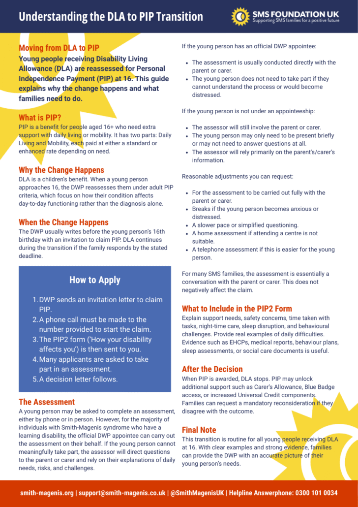 Understanding DLA to PIP PDF cover image
