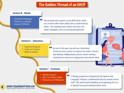 infographic showing the golden thread running through an EHCP