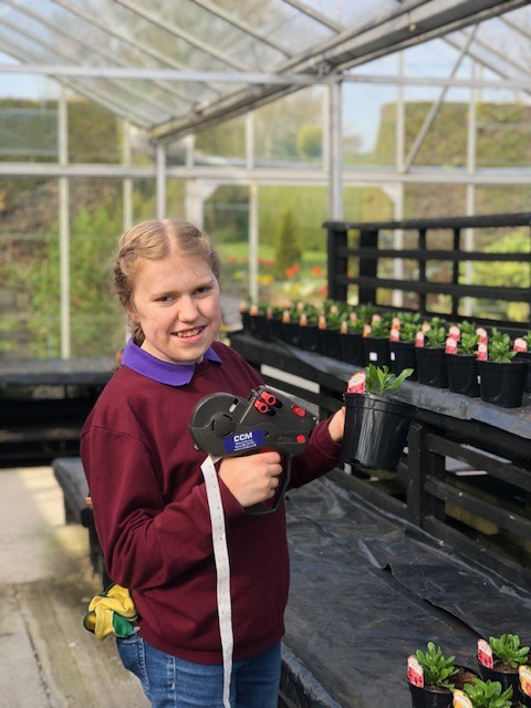 Katherine marking up plants to sell at the garden centre