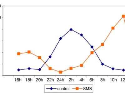 Graph showing sleep patterns in SMS