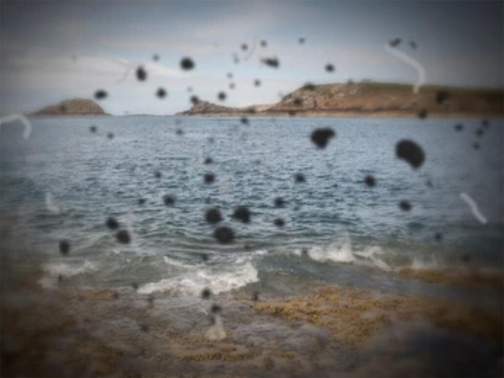 view of the sea with islands in the distance, floaters and black spots obscure vision with retinal detachment